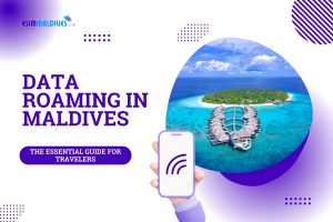 Data roaming in Maldives